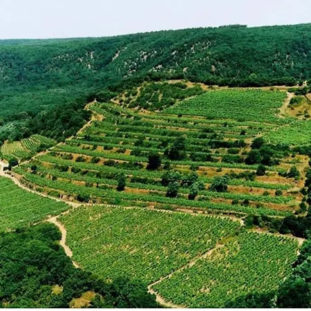 Studiový Tulum Appartamento